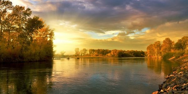lake scene with trees with sun setting