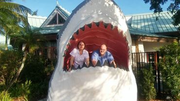 FAM LOOK OUT SHARK!!!!!!!