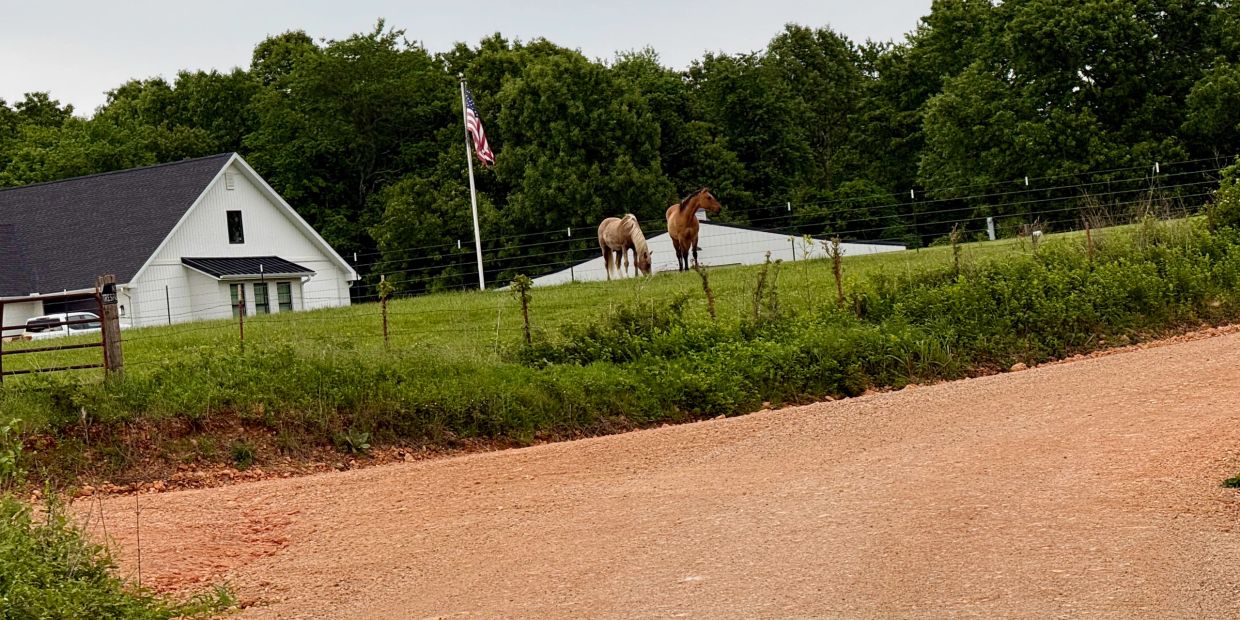 Two horses graze near a white farmhouse with an American flag in a green field.