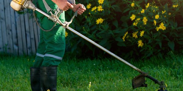 Lawn services
