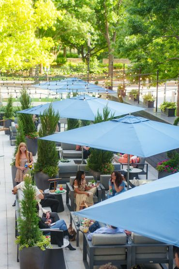 FLORA patio top view with umbrellas