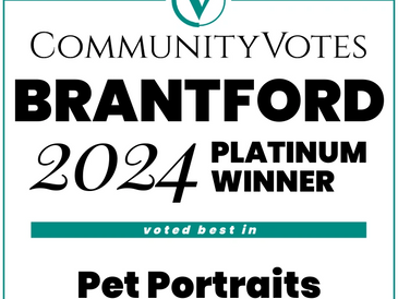 We are truly blessed to win this years 2024 CommunityVotes - Brantford Platinum Award for our Pet Po