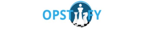 Logo with chess pieces and styled text.