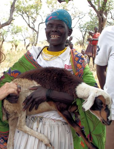 Sheep for Peace in Karamoja