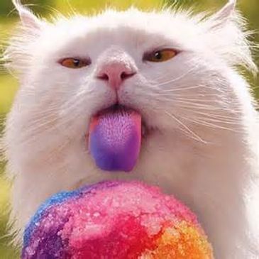 Summertime Sno-Balls is the cat's meow!