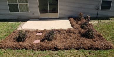 Professional plant and pine straw landscaping installation services.