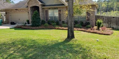 Professional lawn care and pine straw landscape installation services