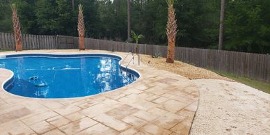 Palm trees, Plants, Landscape lighting, Brown River Rock Professionally installed.