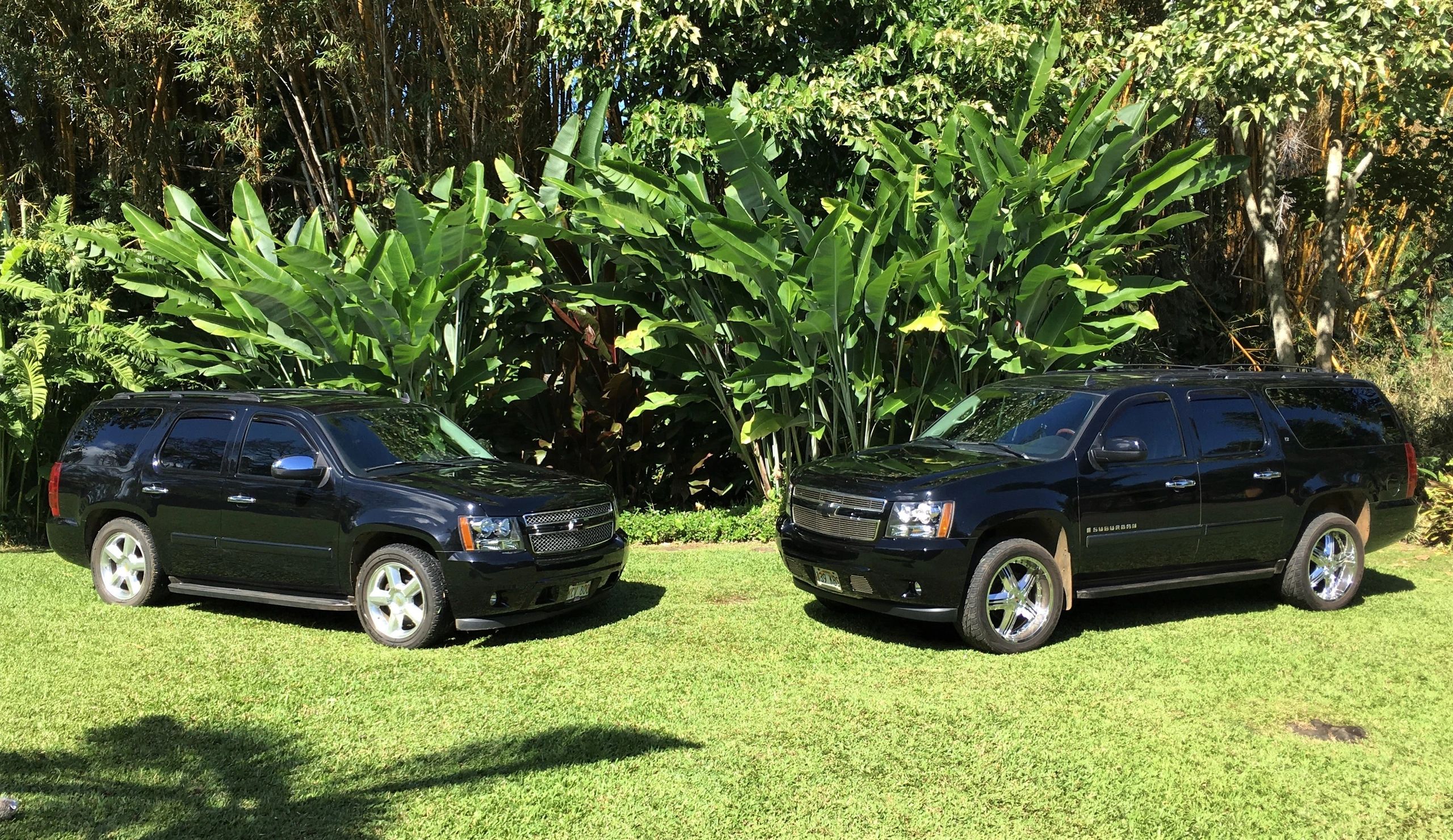 Kauai Transport Service