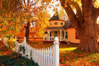 Mansfield Gutter Cleaning