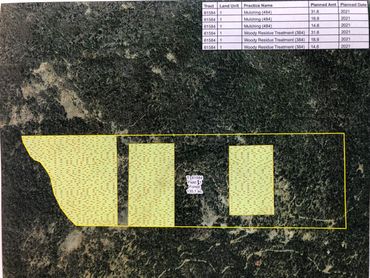 A map of the Musick Creek acreage with three outlined parcels on it. 