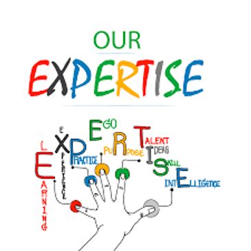 THE SS INTERNATIONAL, BEST VISA CONSULTANT, OVERSEAS EDUCATION, IMMIGRATION CONSULTANT, VISA AGENT