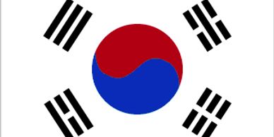 THE SS INTERNATIONAL, study in south Korea, #southkorea 
tourist visa, study visa,