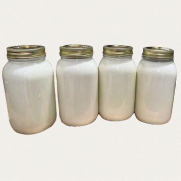 Four glass jars filled with white liquid, sealed with metal lids.