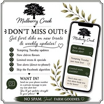 Flyer for Mulberry Creek's new chèvre flavors and weekly updates via text.