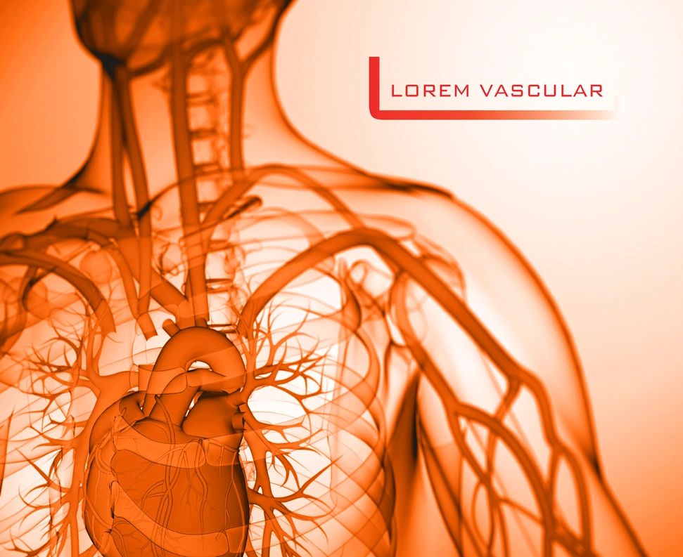 Lorem Vascular (Singapore) logo