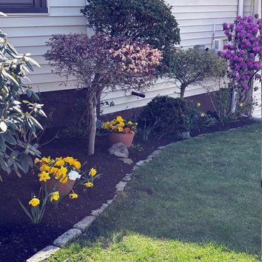 Mulch and plant bed in Newton, MA