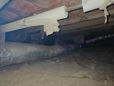 Crawlspace of home where the plumbers saw this and gave us a call.