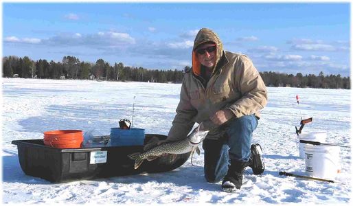 Northern Pike Lure, Daredevil, Tip up