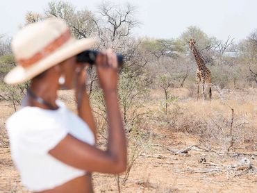 Safari Moon Luxury Bush Lodge Game Drives