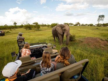 Umkumbe Bush Lodge Game Drives