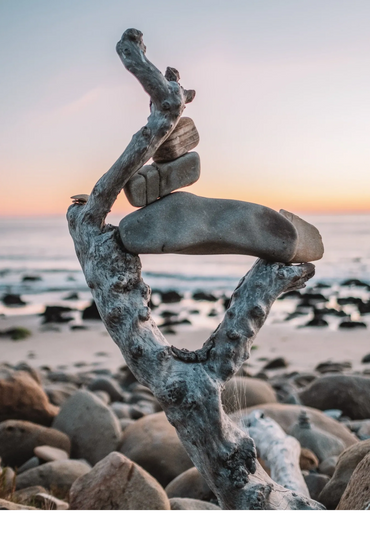 Balanced stones on a weathered driftwood piece at the beach during sunset.