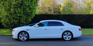 LEICESTER PLATINUM CHAUFFEURS BENTLEY FLYING SPUR AT BOTANICAL GARDEN PHOTO SHOOT