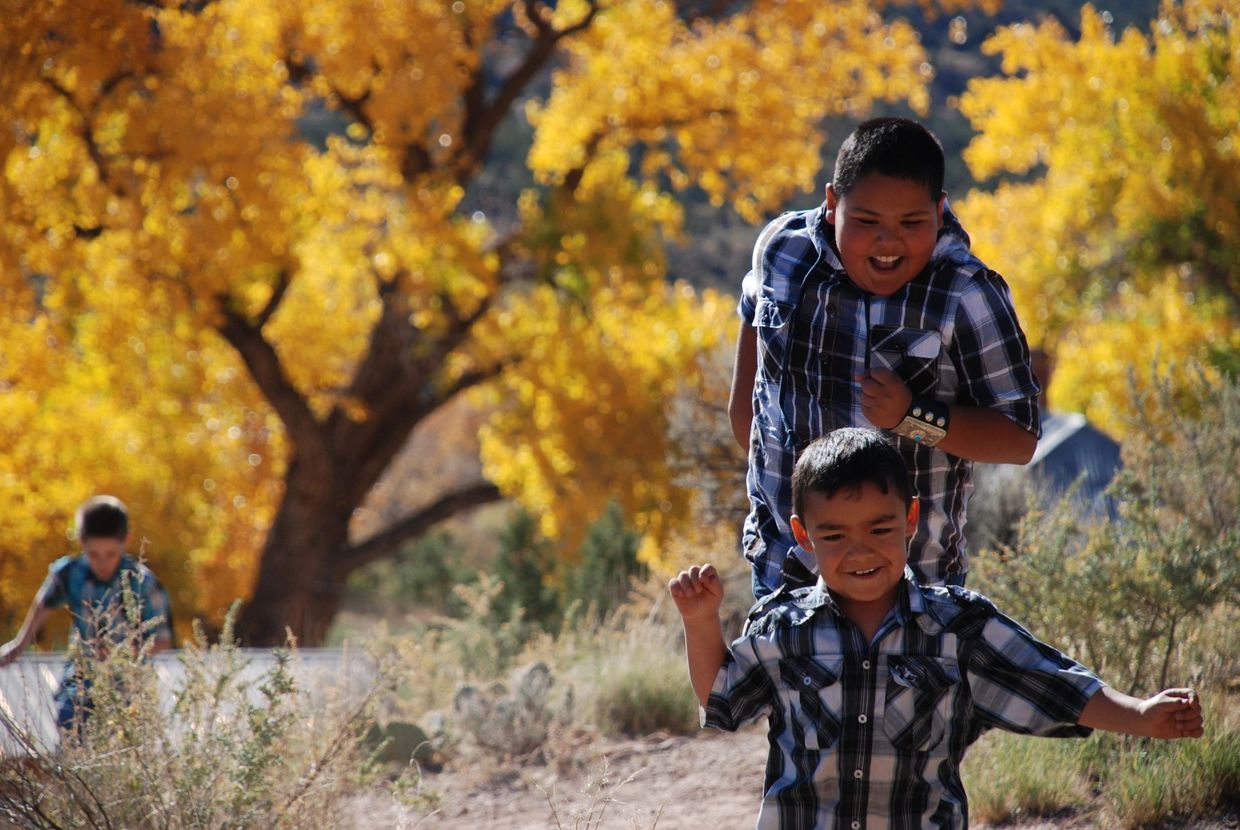 An autumn scene of two boys in blue and white plaid shirts smiling and running over a hill.