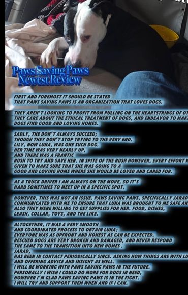 Positive testimonial from Paws Saving Paws adopter in San Antonio