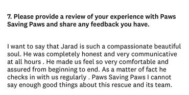 Client testimonial praising Paws Saving Paws dog adoption experience