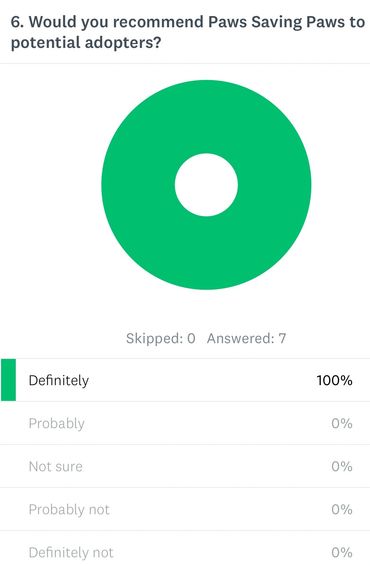 Dog adoption testimonial from happy Paws Saving Paws customer Texas