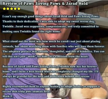 Five-star customer review for Paws Saving Paws dog rescue in San Antonio Texas