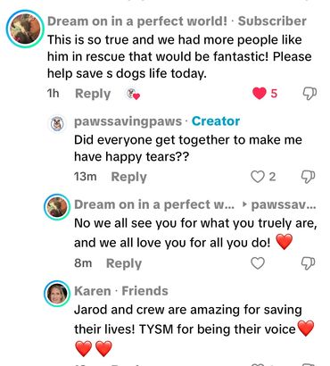 Outstanding customer review for Paws Saving Paws dog rescue organization