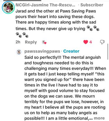 Client testimonial praising Paws Saving Paws dog adoption experience