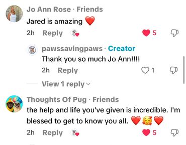 Top-rated review of Paws Saving Paws animal rescue services Texas