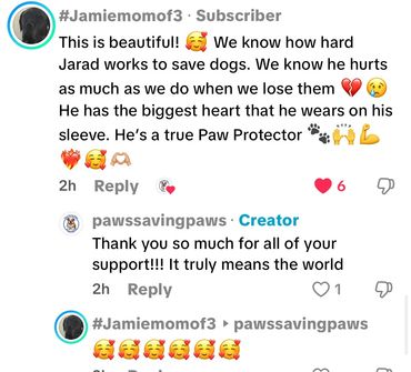 Happy customer feedback about Paws Saving Paws rescue services