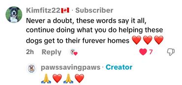 Review highlighting excellent customer service at Paws Saving Paws San Antonio