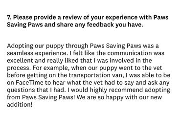 Positive adoption journey feedback for Paws Saving Paws rescue