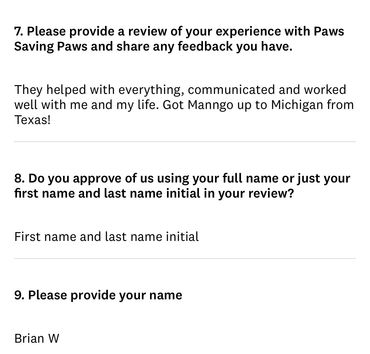 Customer review praising Paws Saving Paws for excellent communication and pet transport service.