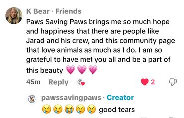 Customer feedback praising Paws Saving Paws rescue mission and care