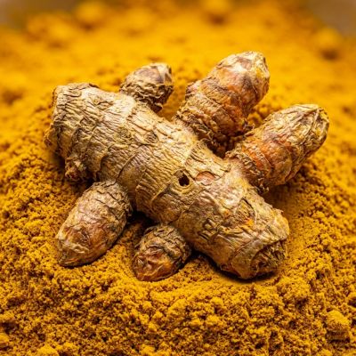 Fresh turmeric root on turmeric powder.