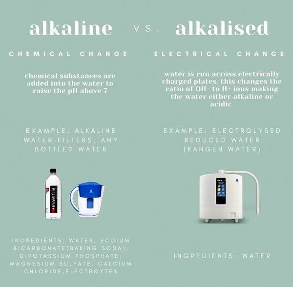 Alkaline vs. Alkalized