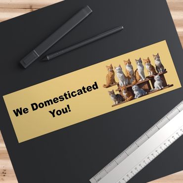 We domesticated you bumper sticker