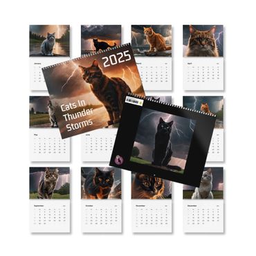 Wall Calendar (2025) : Cats in Thunder Storms