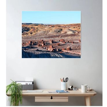 Petrified Logs of the Painted Desert Poster