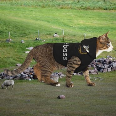 boss cat jacket