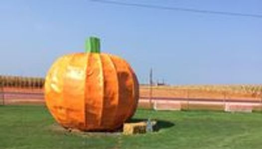 It's The Great Pumpkin of Westville, IN!
