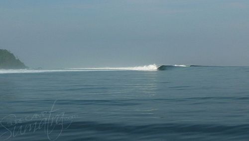 Telescopes Surf Break in Mentawai.