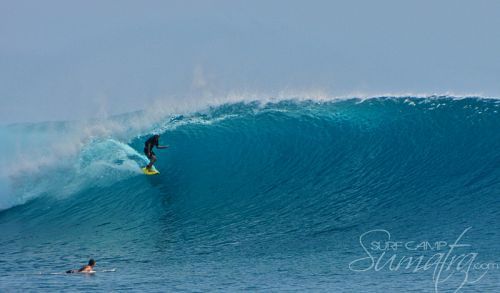 Surfer surfing Telescopes Surf Break in Mentawai.