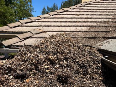 Roof Cleaning. Gutter Cleaning; example of a large amount of leaves being removed from a client's ro
